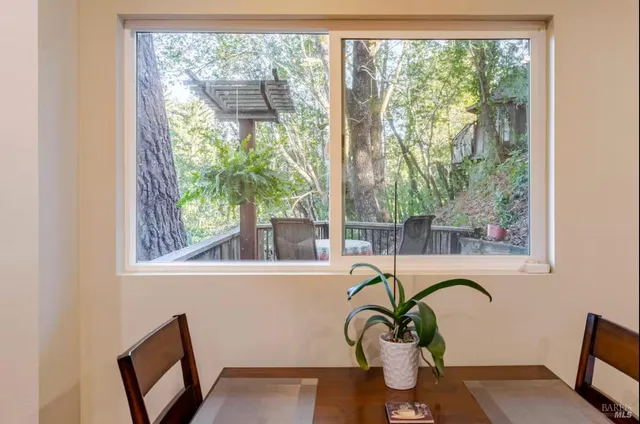 a close view of dining table and a potted plant