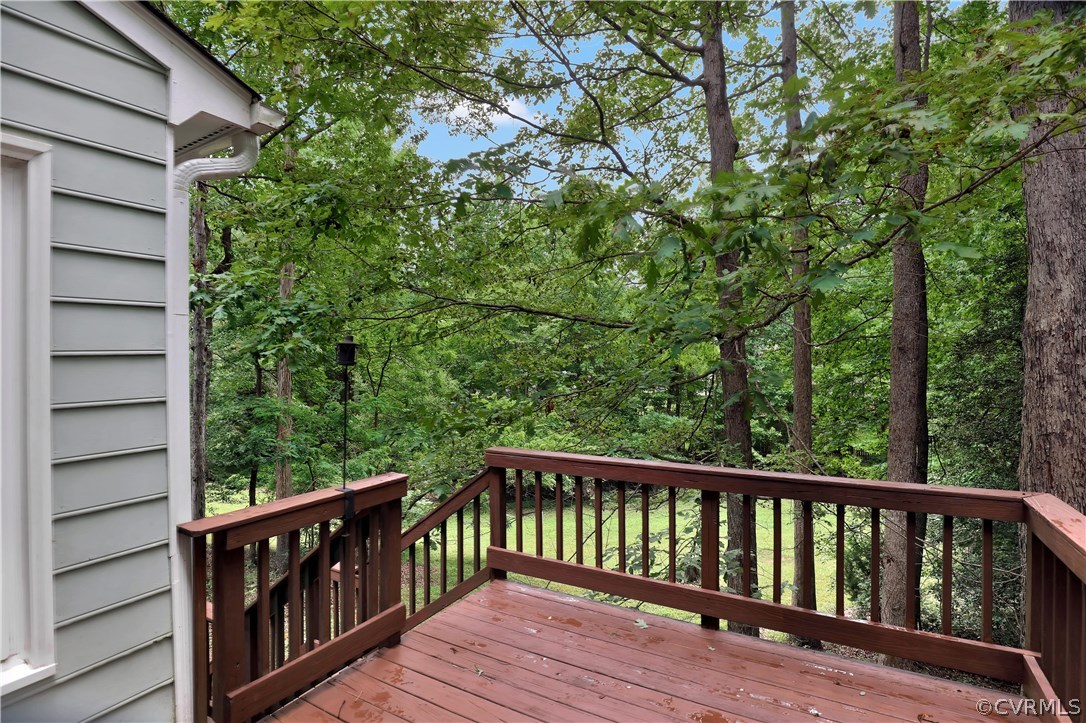5303 Chestnut Bluff Road Midlothian, VA 23112 - Photo 25 of 25