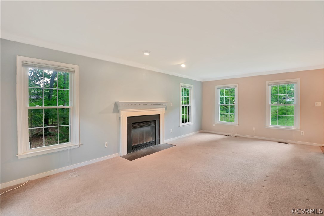 5303 Chestnut Bluff Road Midlothian, VA 23112 - Photo 8 of 25