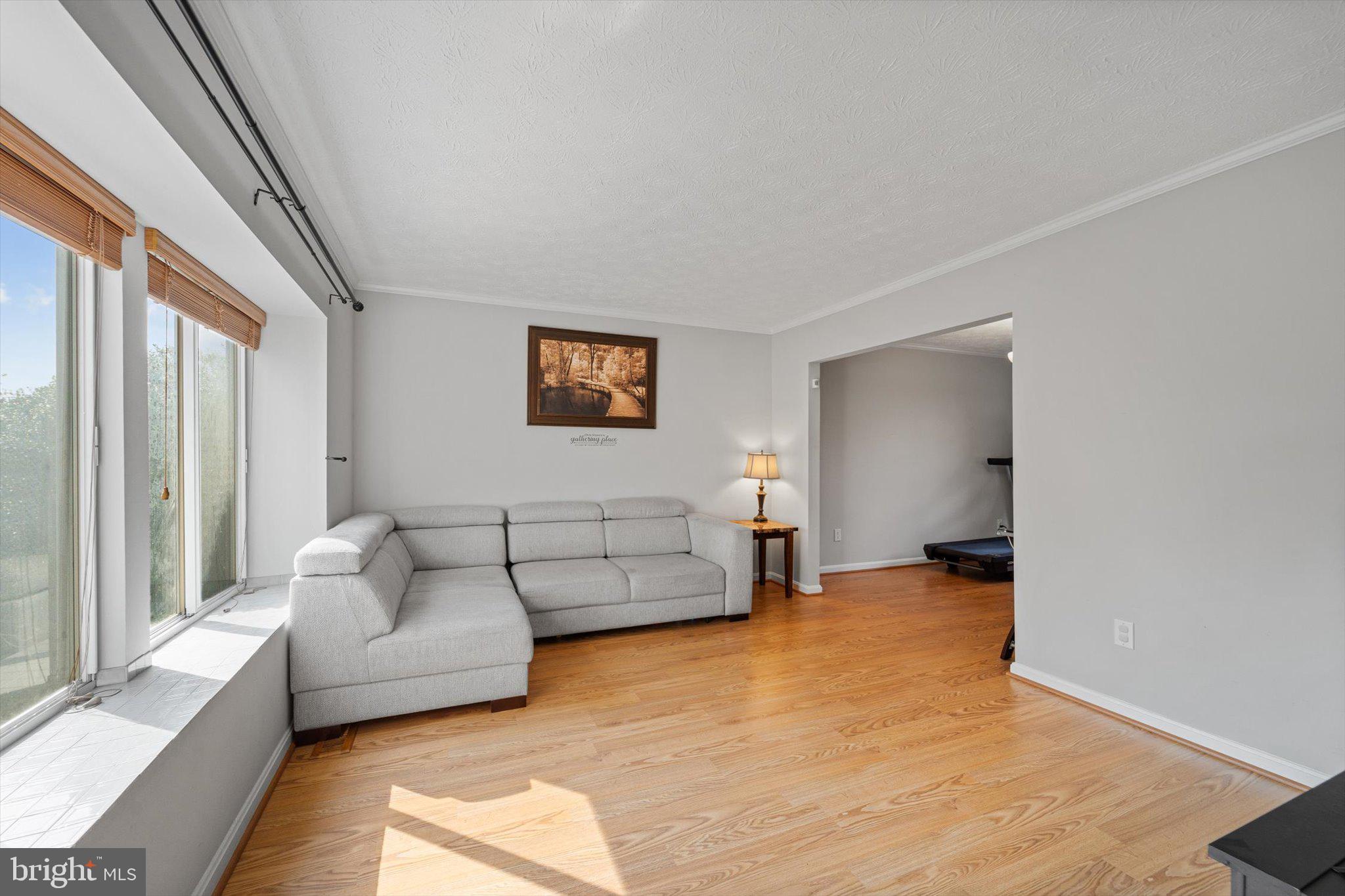 10461 Brackets Ford Circle Manassas, VA 20110 - Photo 14 of 52 Forma Living Room