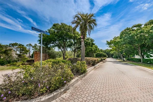 a view of a garden with a plant
