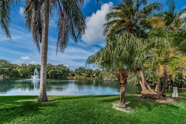 a view of a lake with a yard