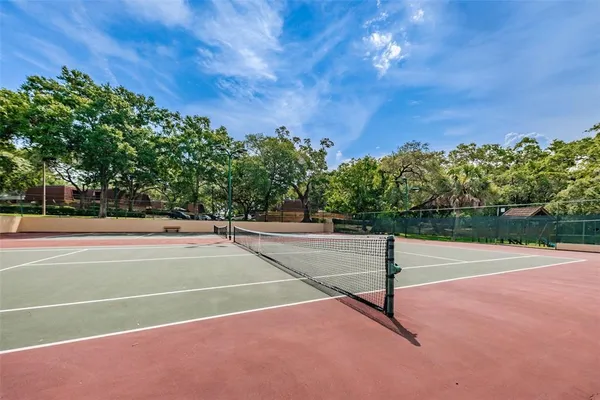 a view of a yard with plants and trees