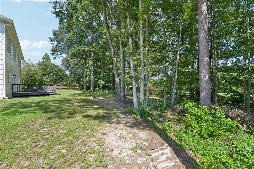 9429 Golfview Point Villa Rica, GA 30180 - Photo 38 of 55
