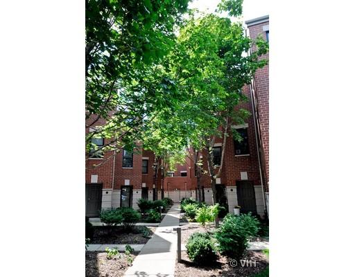 a picture of a tree in front of a house