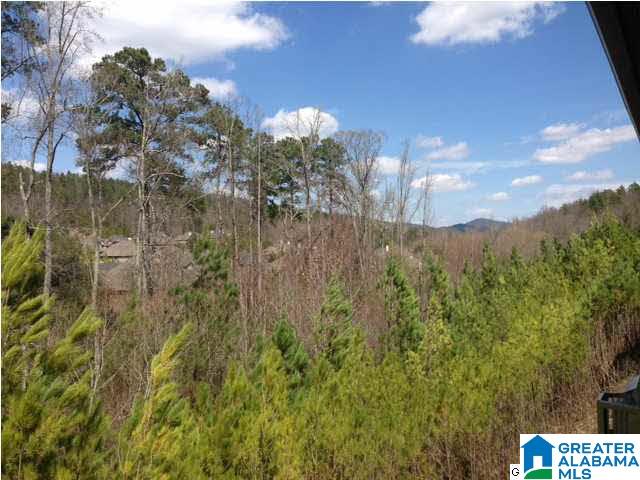 120 Chesser Loop Road Chelsea, AL 35043 - Photo 15 of 22 Gallery Image 15