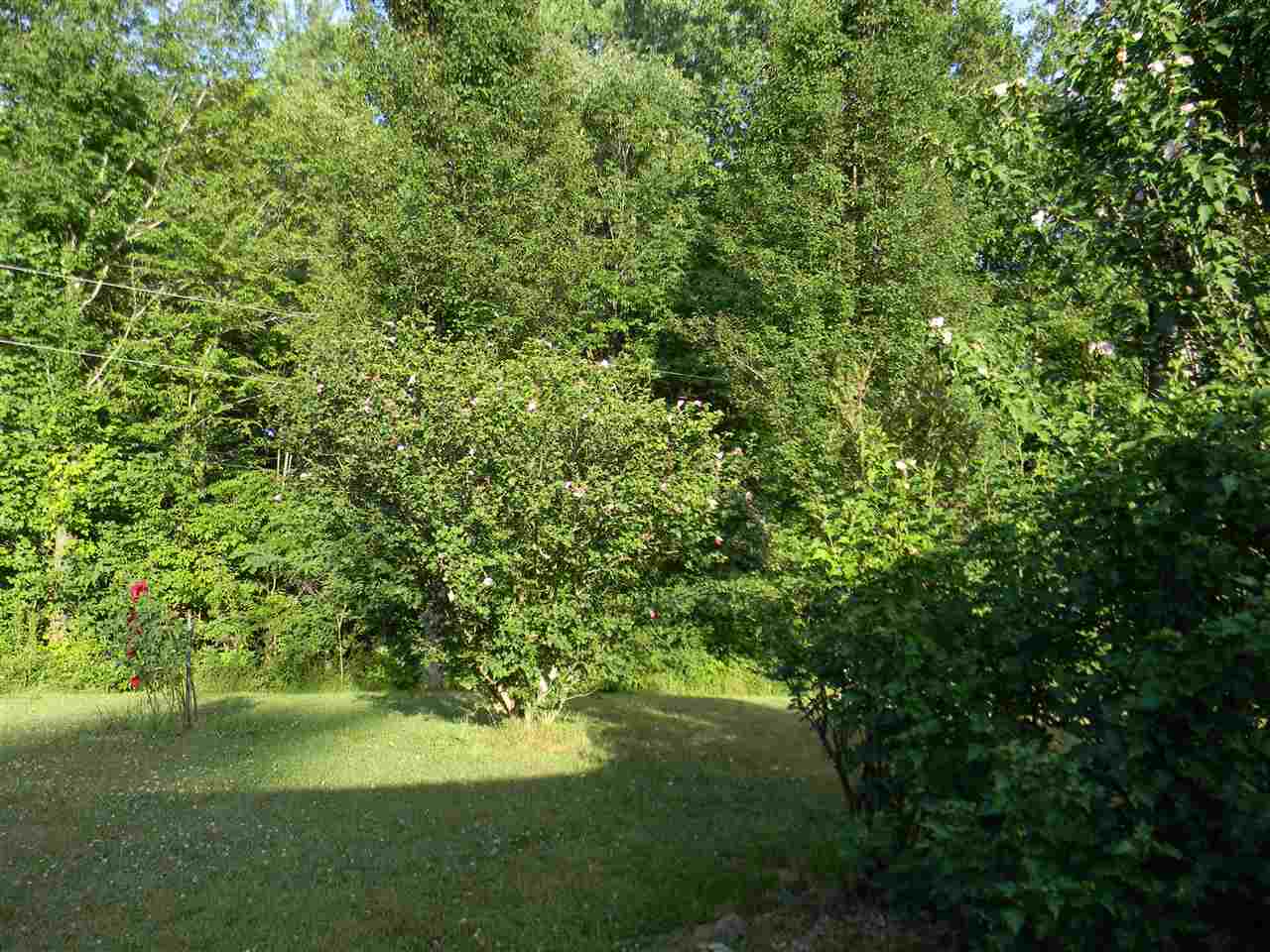 3487 Stultz Road Spencer, IN 47460 - Photo 22 of 22