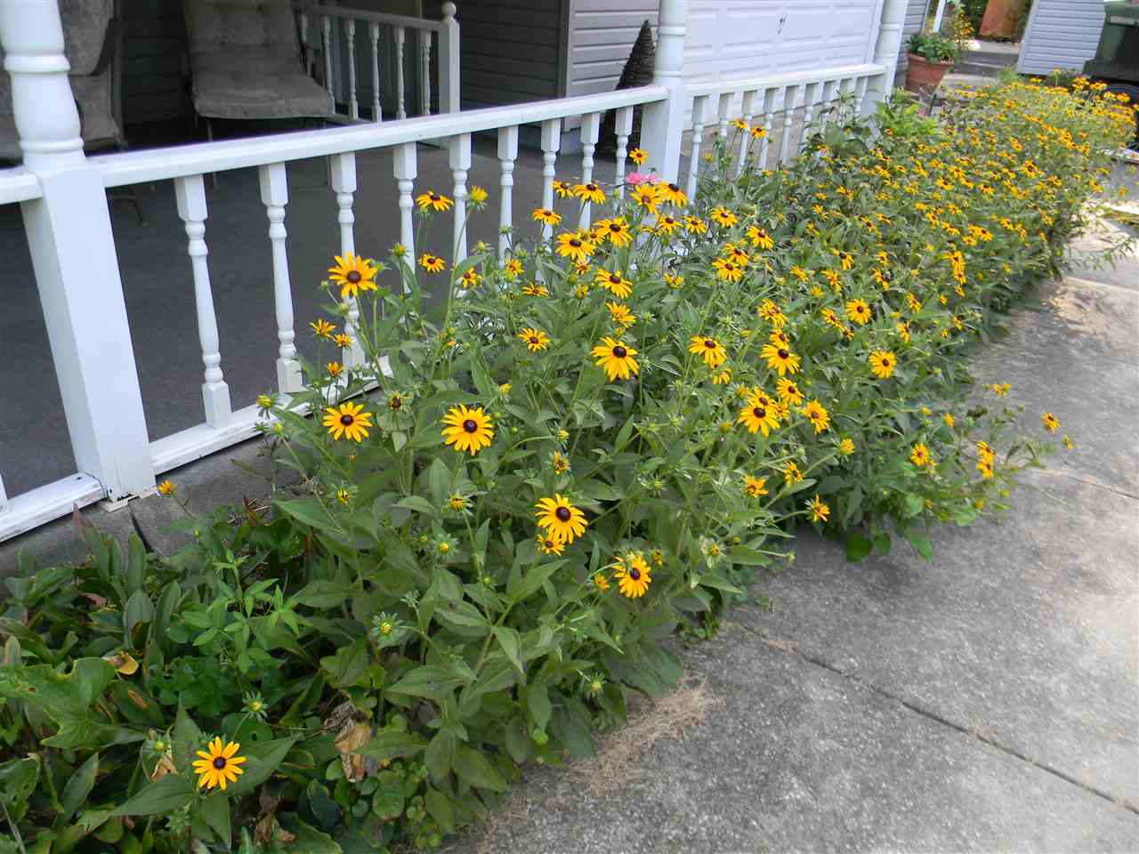 3487 Stultz Road Spencer, IN 47460 - Photo 4 of 22