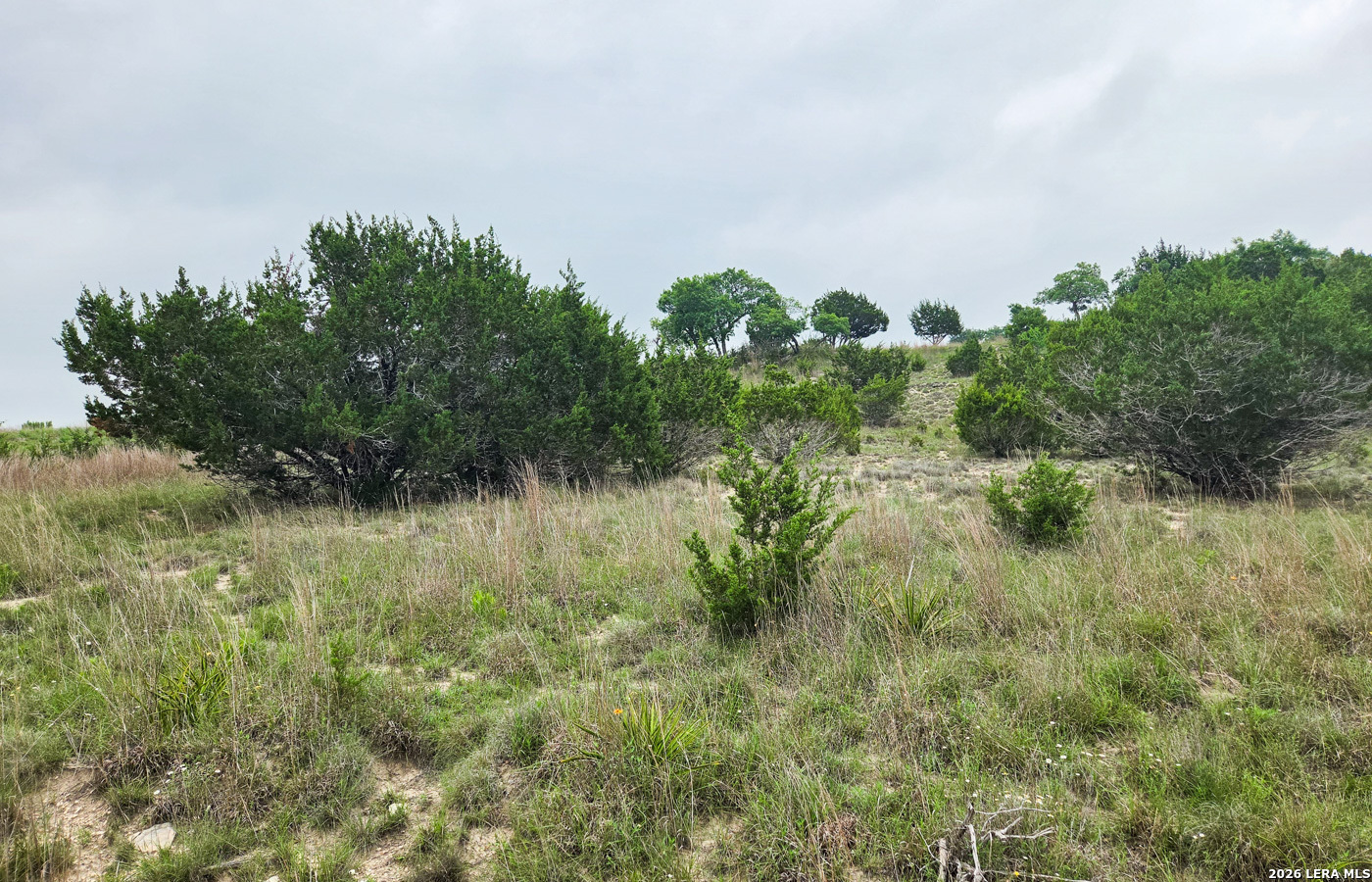 Tbd Falling Oak Blanco, TX 78606 - Photo 4 of 21
