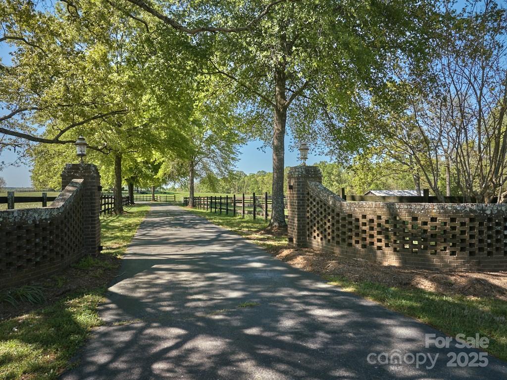820 Phillips Road Columbus, NC 28722 - Photo 2 of 32 a view of a yard with plants and trees