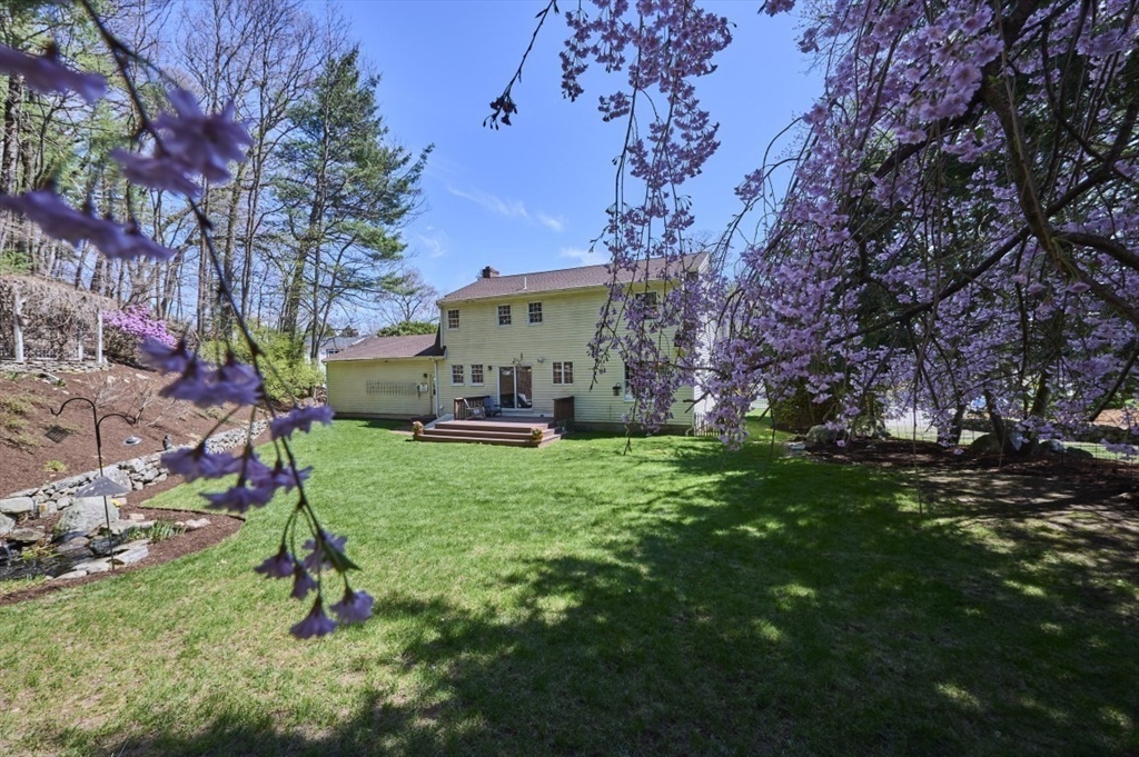 70 Harrington Road Framingham, MA 01701 - Photo 38 of 38