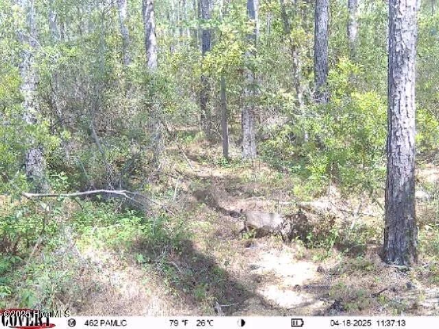 $2,495,000 | 501 Drawbridge Road, Hobucken, NC 28537