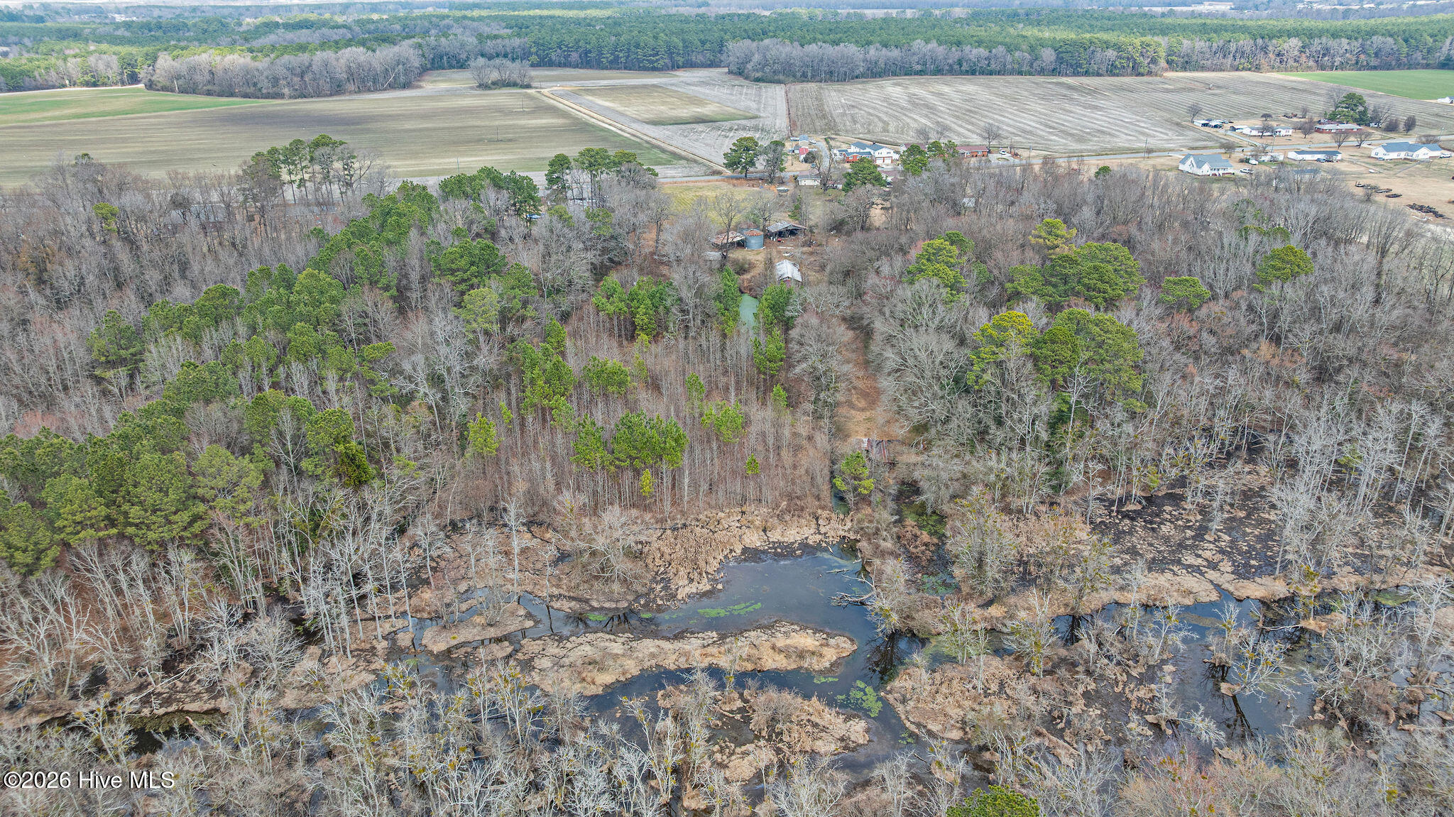 366 Forehand Road Pikeville, NC 27863 - Photo 19 of 21 DJI_0878