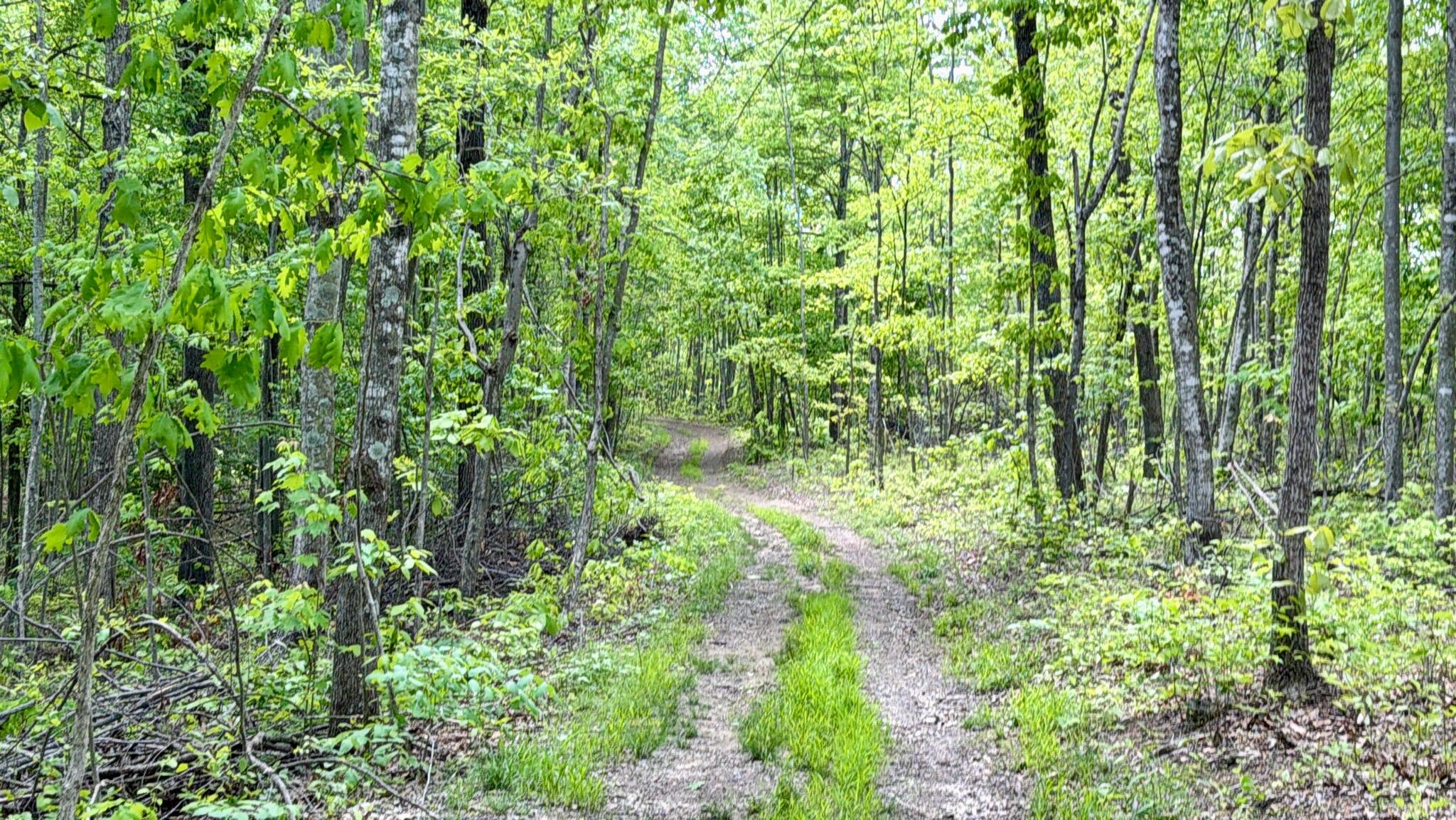 100 A Open Fork Road Morehead, KY 40351 - Photo 30 of 75 Trails