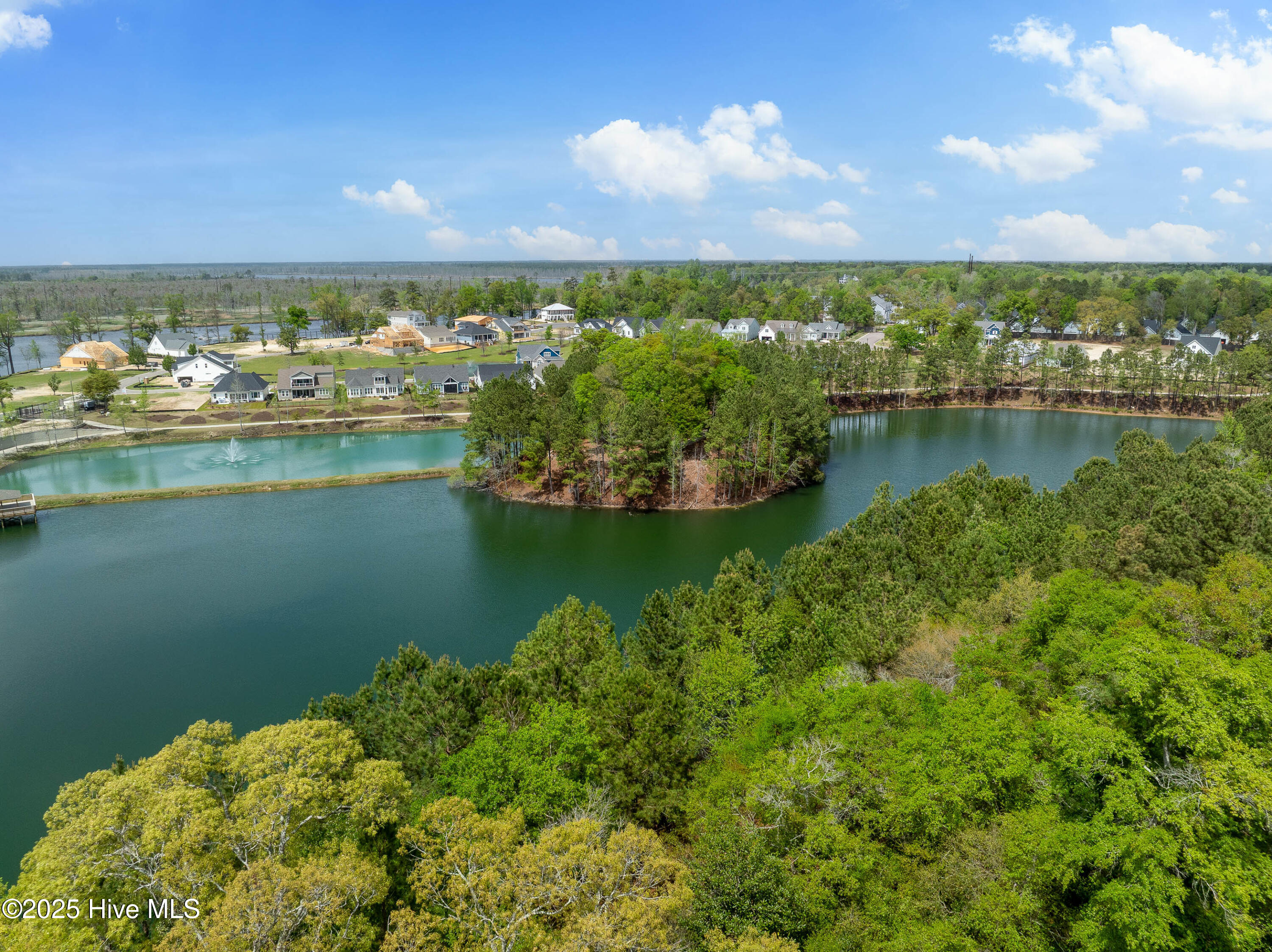 1220 Rockhill Road Castle Hayne, NC 28429 - Photo 55 of 57 12 acre lake