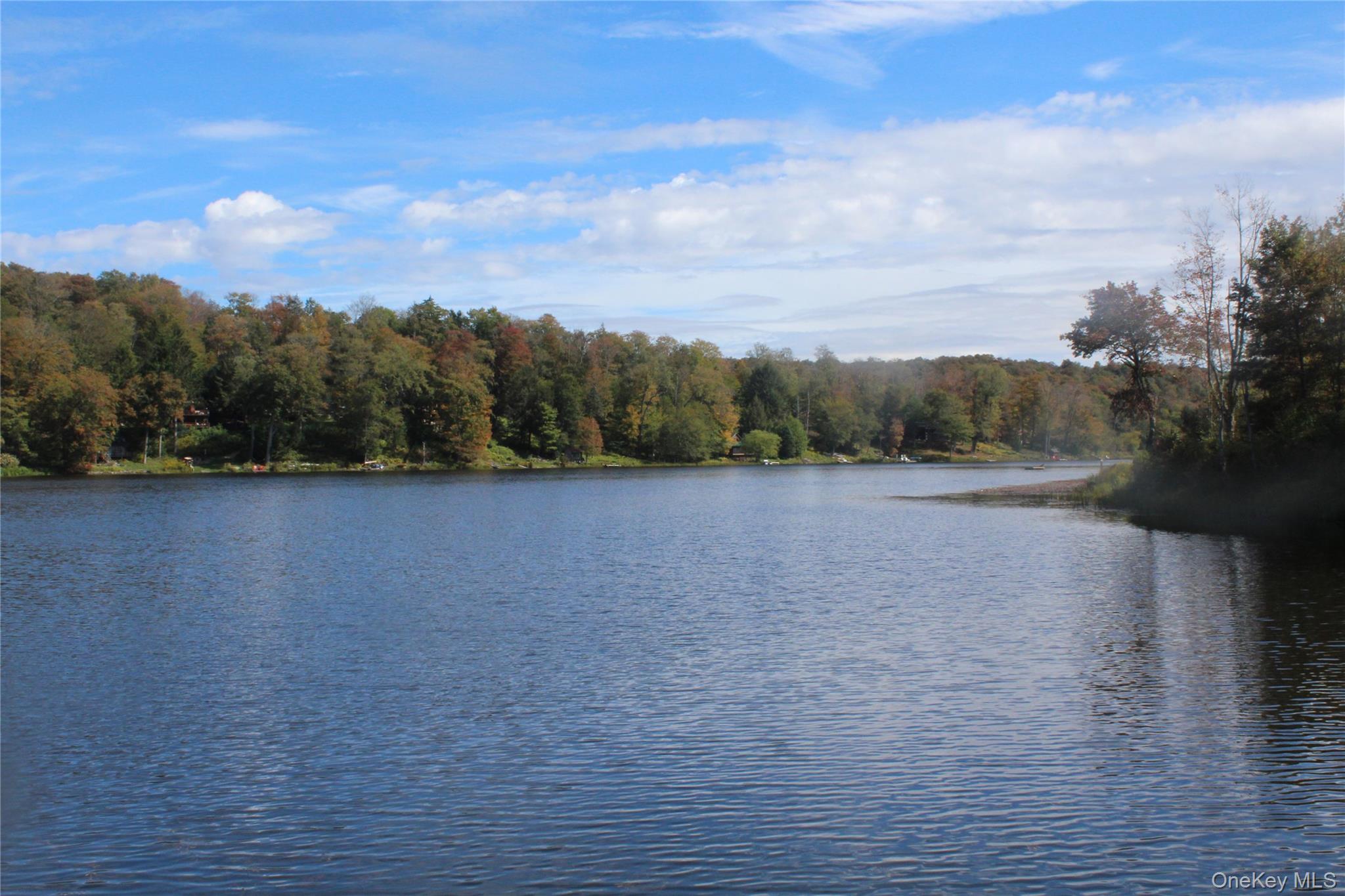 Trout Brook Road Fremont Center, NY 12736 - Photo 14 of 17 a view of a lake