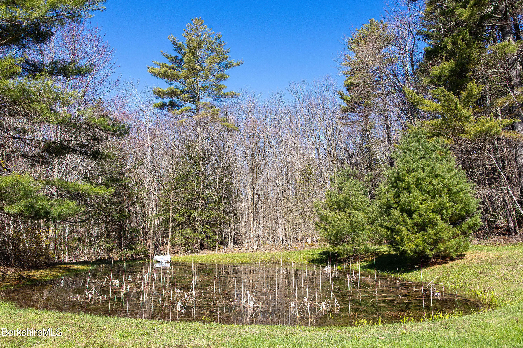 2184 Monterey Road Otis, MA 01253 - Photo 8 of 32 a view of a garden