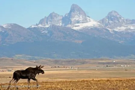 $469,000 | 9595 River Rim Ranch Road, Tetonia, ID 83452