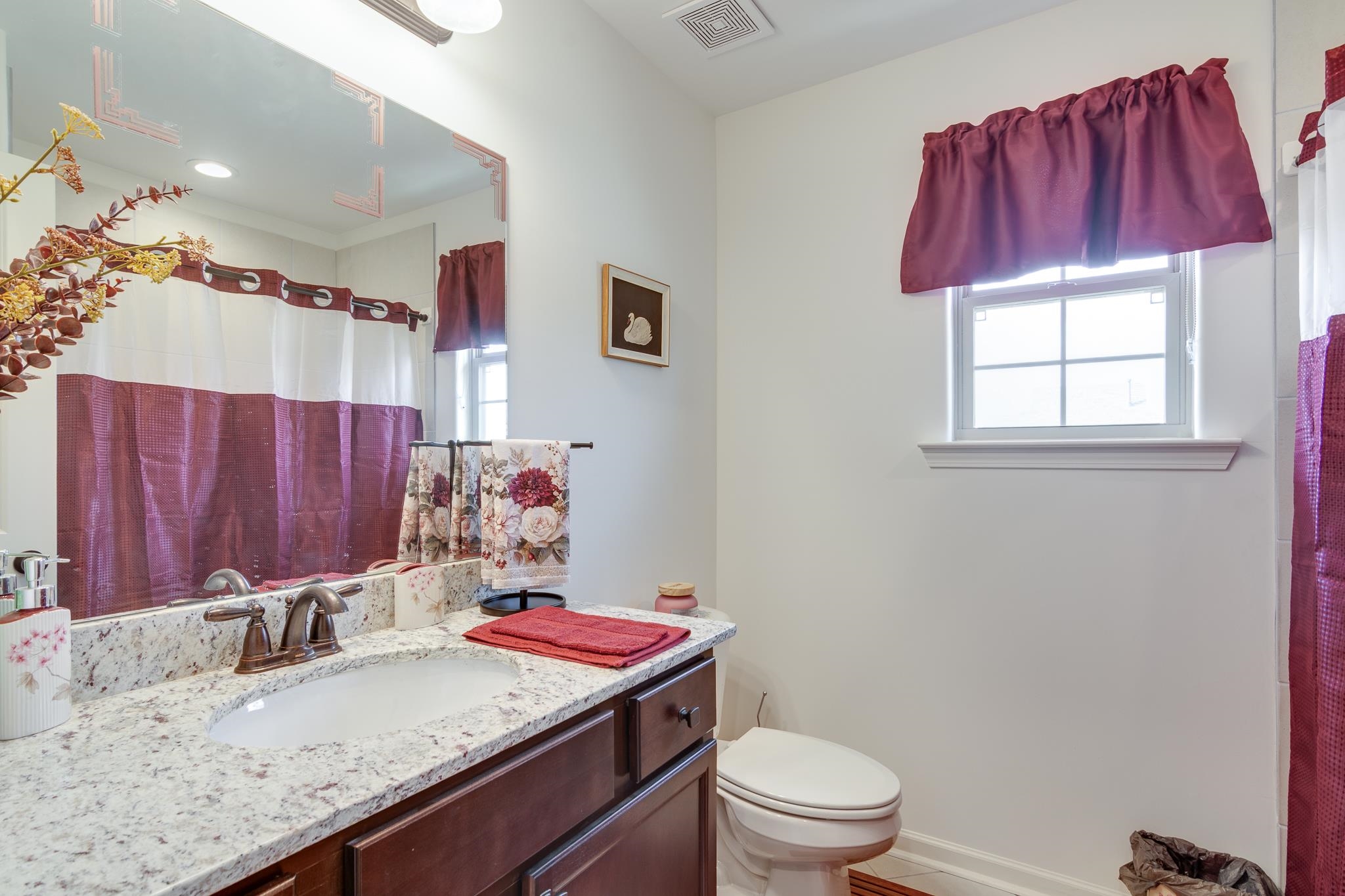 135 Chesnut Rdg Drive Oakland, TN 38060 - Photo 27 of 36 Bathroom with plenty of natural light, vanity, and a shower with curtain