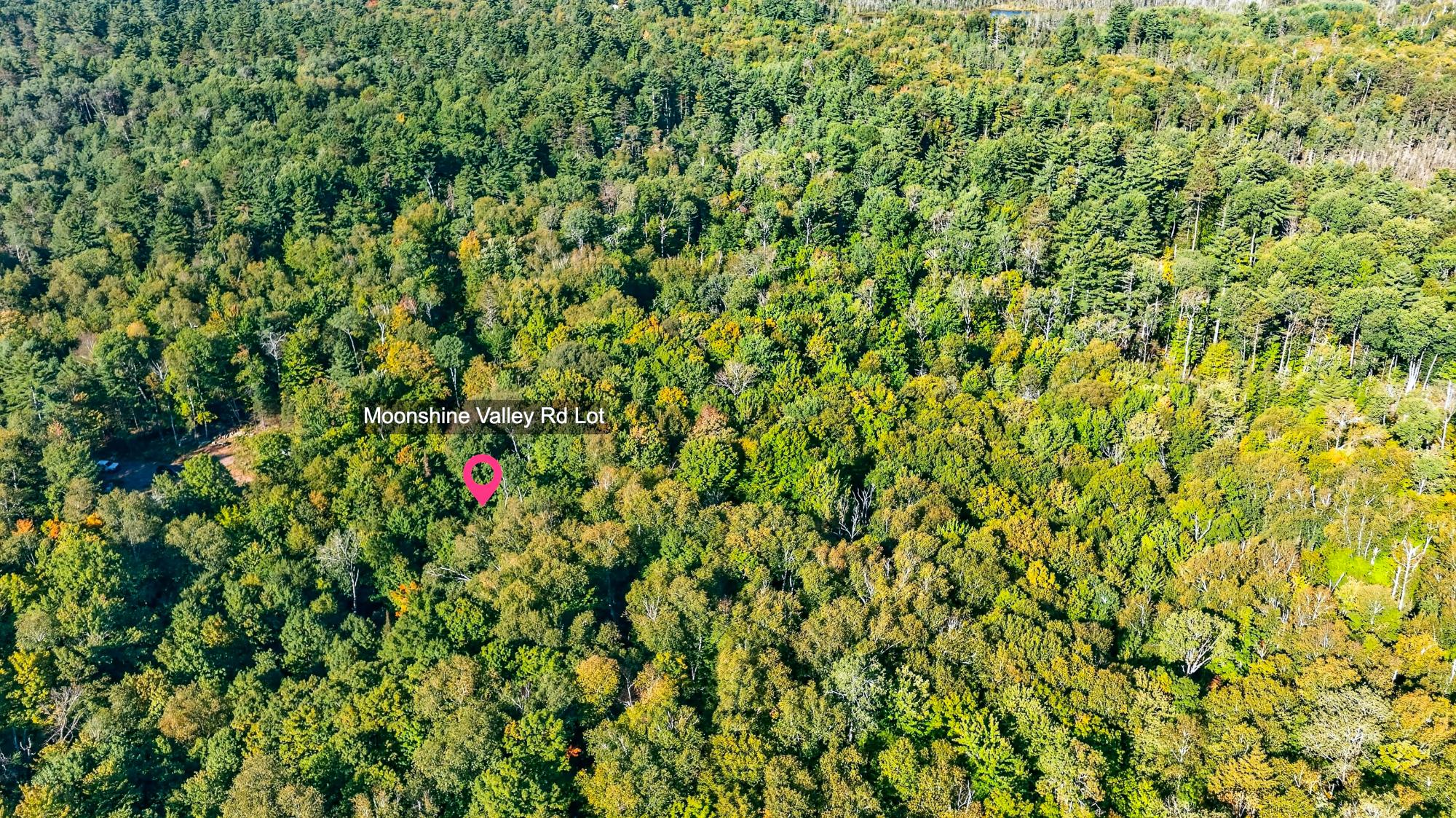 Lot On Moonshine Valley Road Presque Isle, WI 54557 - Photo 11 of 17 Gallery Image 11