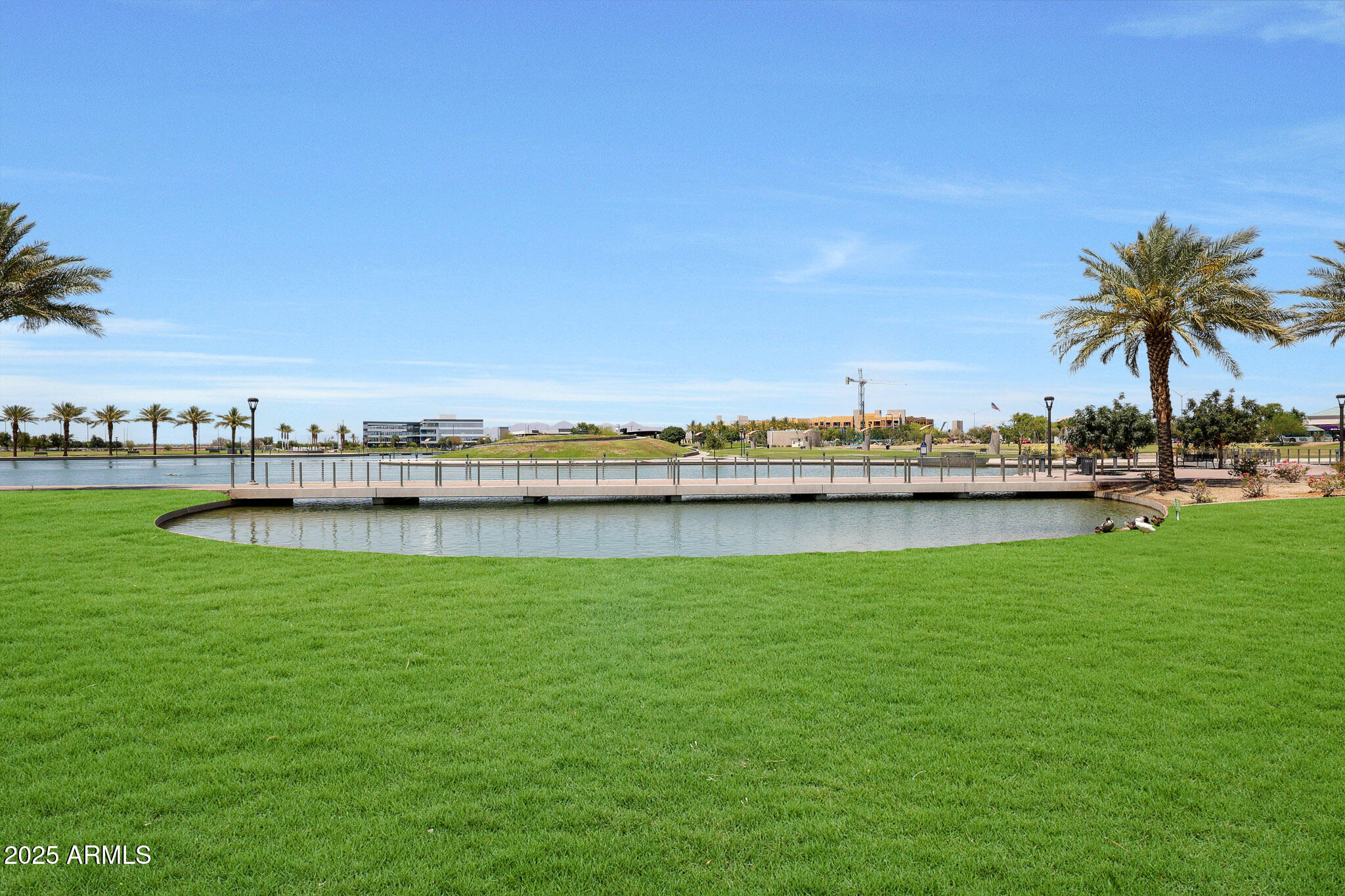 745 North Dobson Road, Unit 151 Mesa, AZ 85201 - Photo 47 of 48 Grass (3)