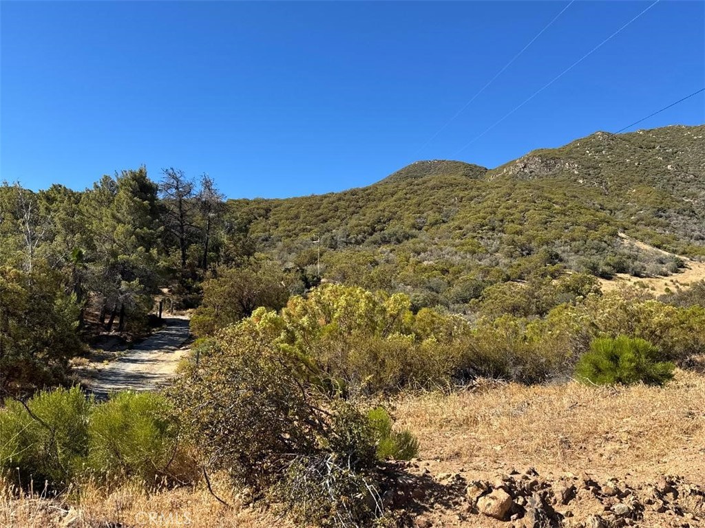 a view of a large tree with mountains in the background