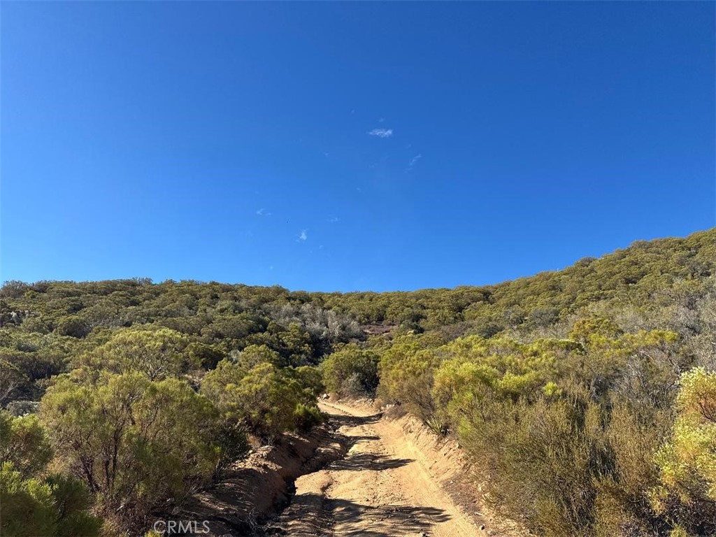 0 Chapman Road Anza, CA 92539 - Photo 11 of 17