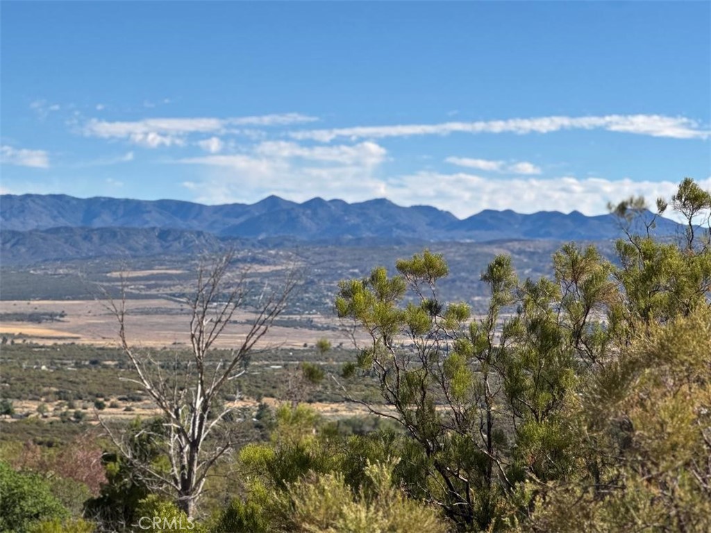 0 Chapman Road Anza, CA 92539 - Photo 15 of 17 a view of an outdoor space with mountain view