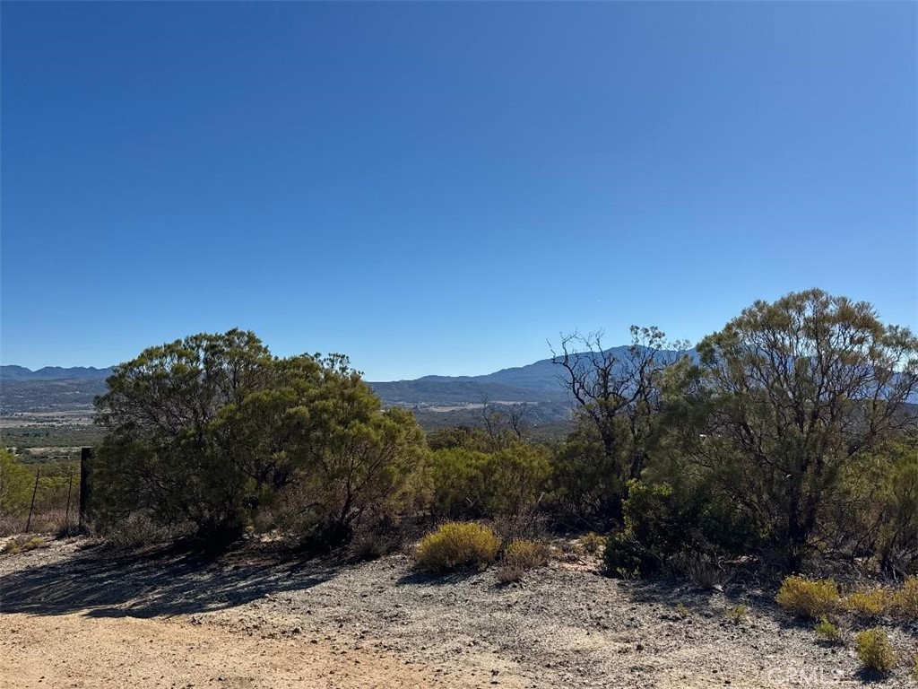 0 Chapman Road Anza, CA 92539 - Photo 16 of 17 a view of a back yard