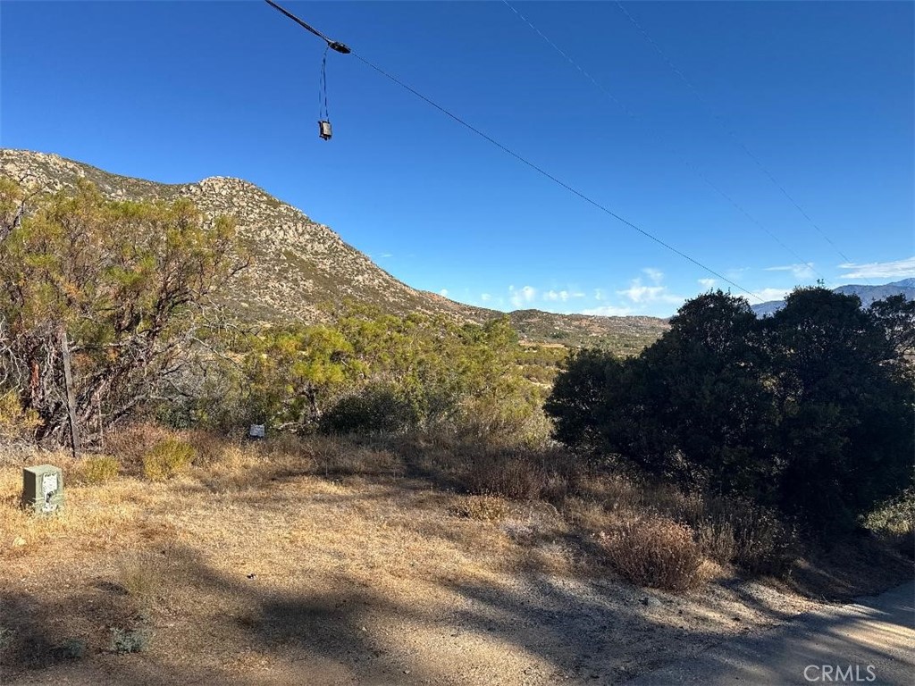 0 Chapman Road Anza, CA 92539 - Photo 4 of 17 a view of a yard