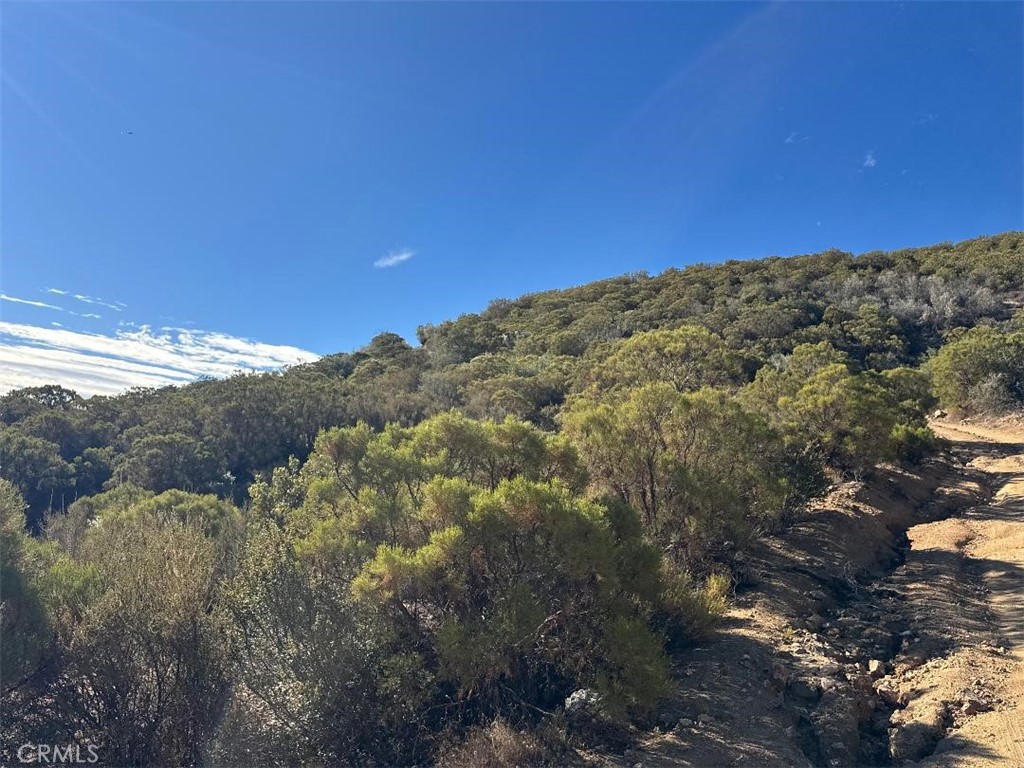 0 Chapman Road Anza, CA 92539 - Photo 10 of 17 a view of a dry yard with mountains in the background