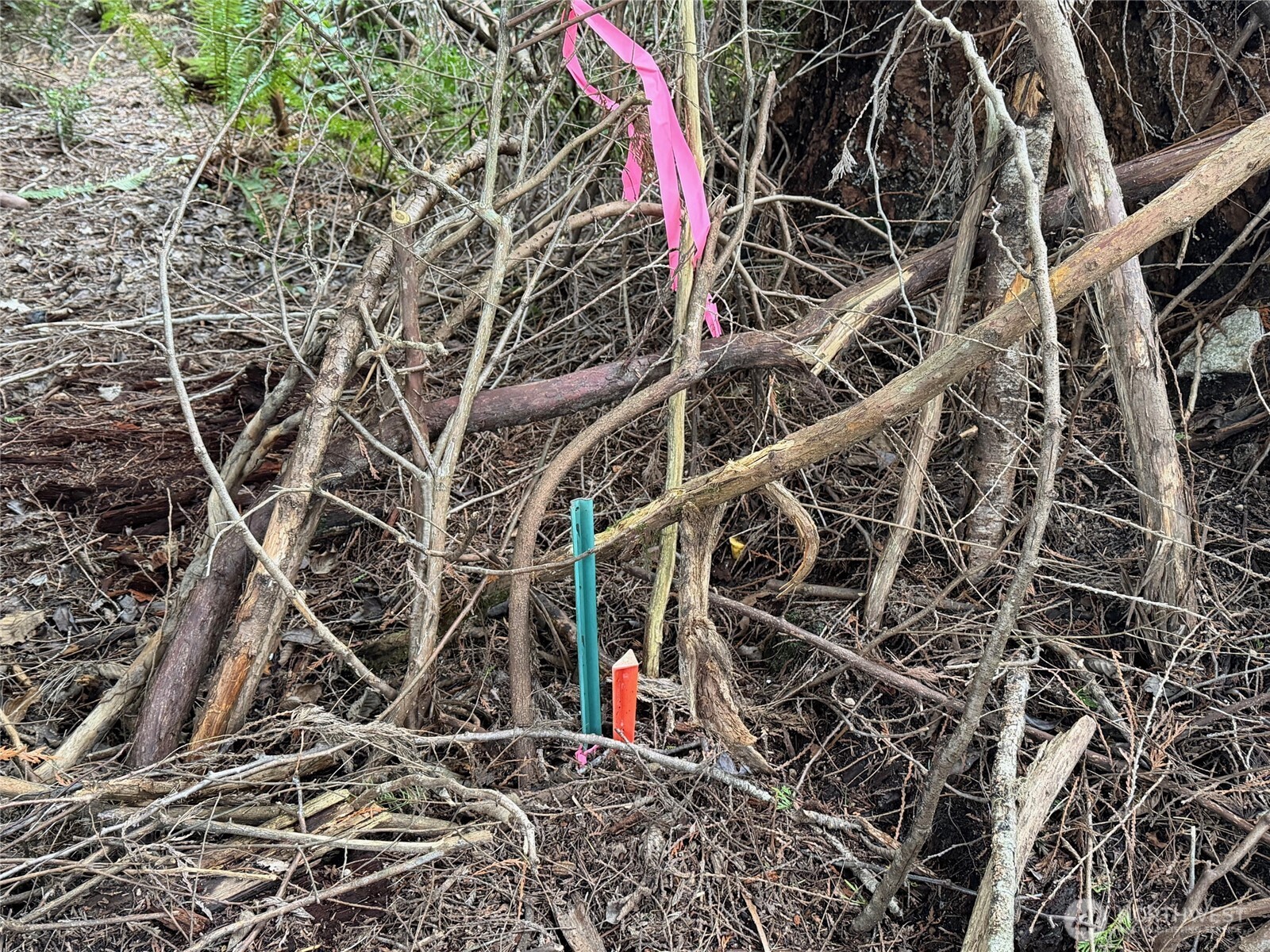 17680 Hallman Road Northwest Poulsbo, WA 98370 - Photo 14 of 27