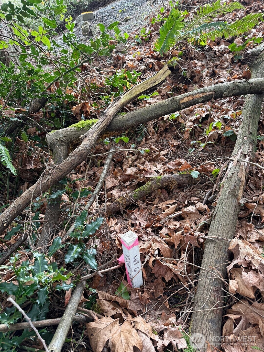 17680 Hallman Road Northwest Poulsbo, WA 98370 - Photo 15 of 27