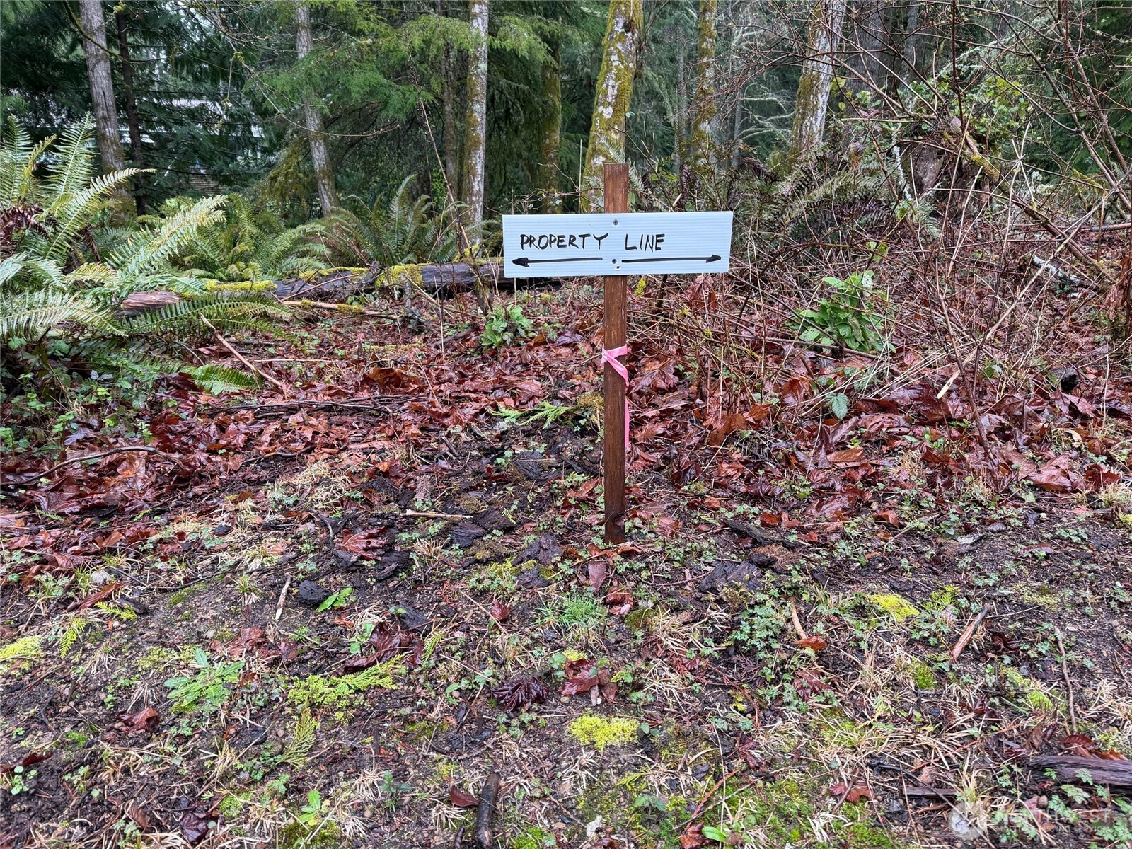 17680 Hallman Road Northwest Poulsbo, WA 98370 - Photo 22 of 27