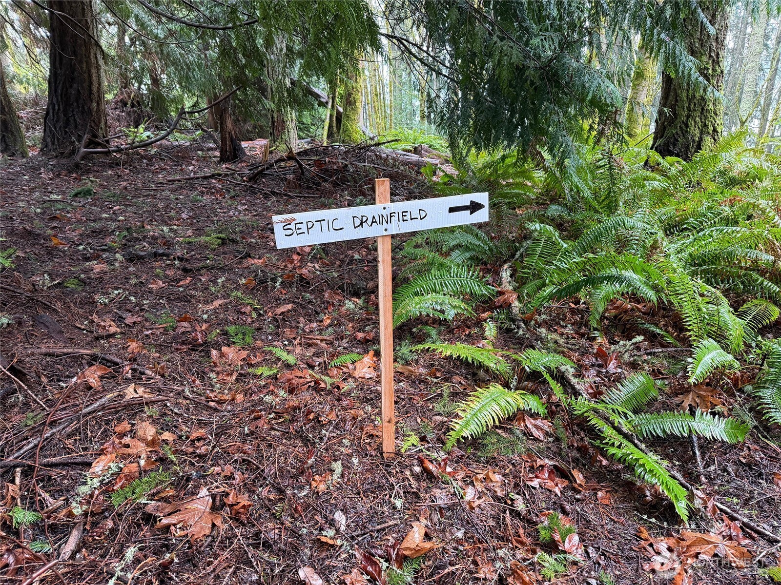 17680 Hallman Road Northwest Poulsbo, WA 98370 - Photo 23 of 27