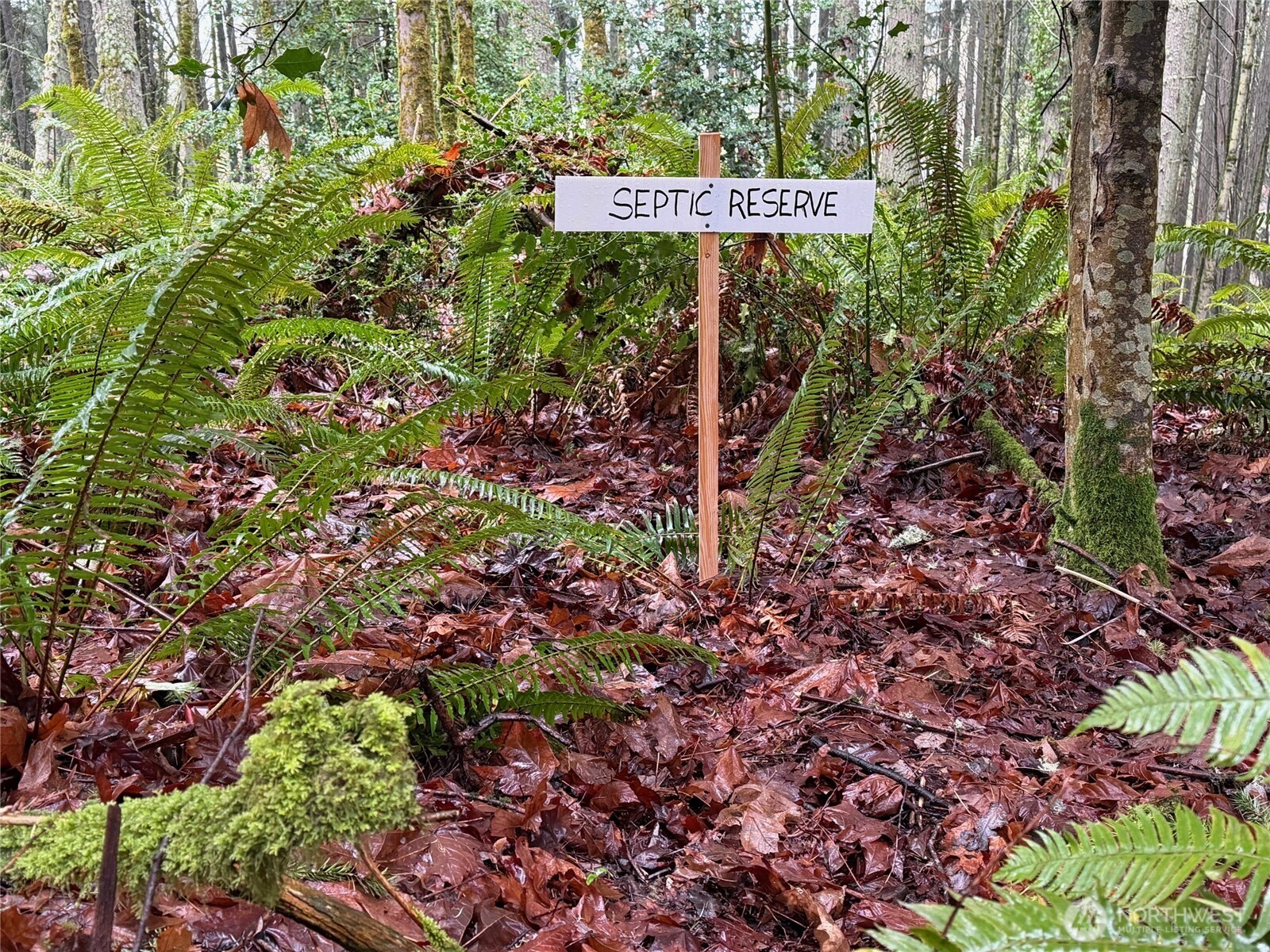 17680 Hallman Road Northwest Poulsbo, WA 98370 - Photo 24 of 27