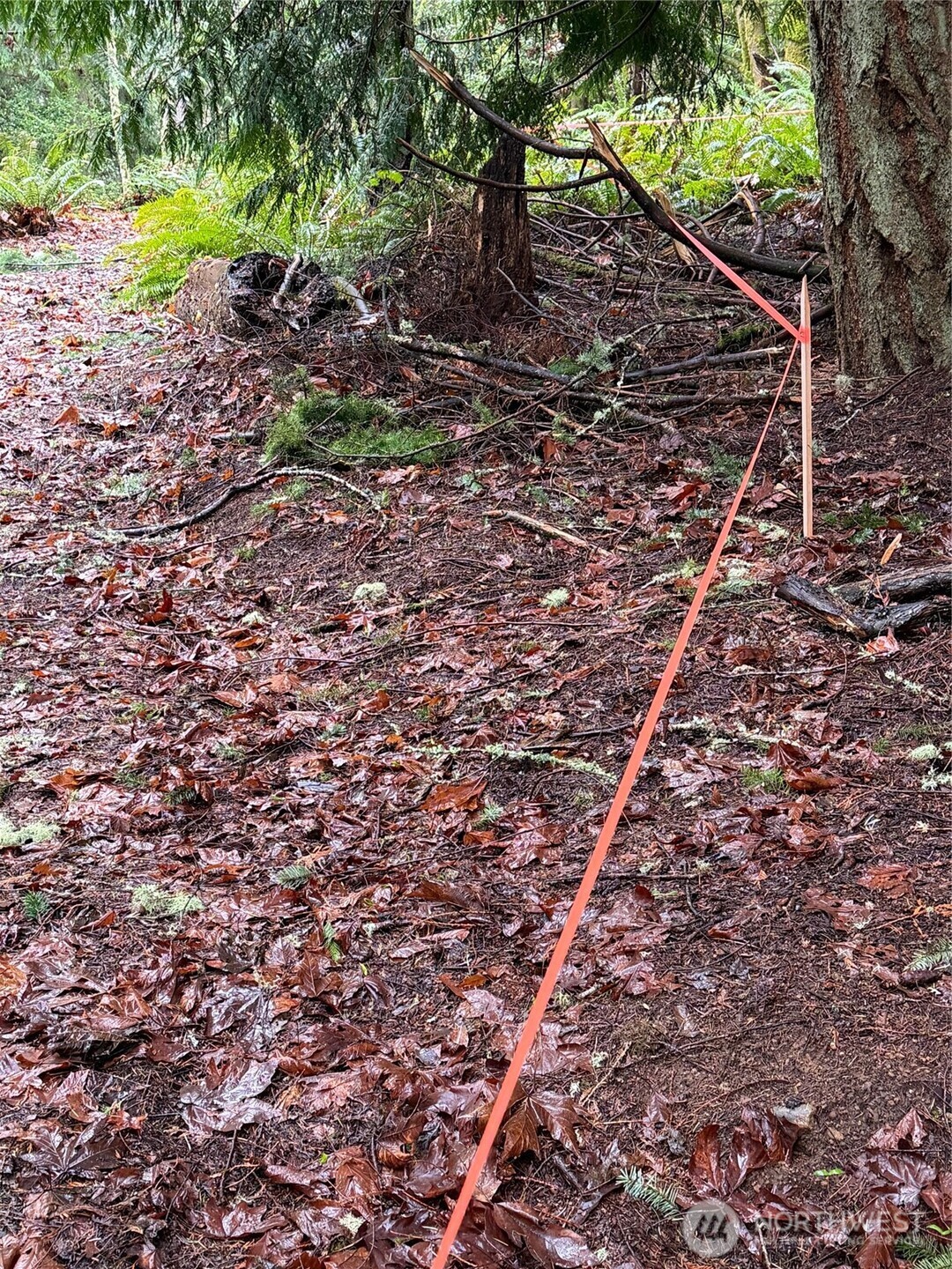 17680 Hallman Road Northwest Poulsbo, WA 98370 - Photo 26 of 27