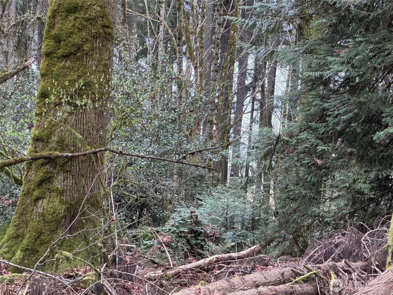 17680 Hallman Road Northwest Poulsbo, WA 98370 - Photo 3 of 27