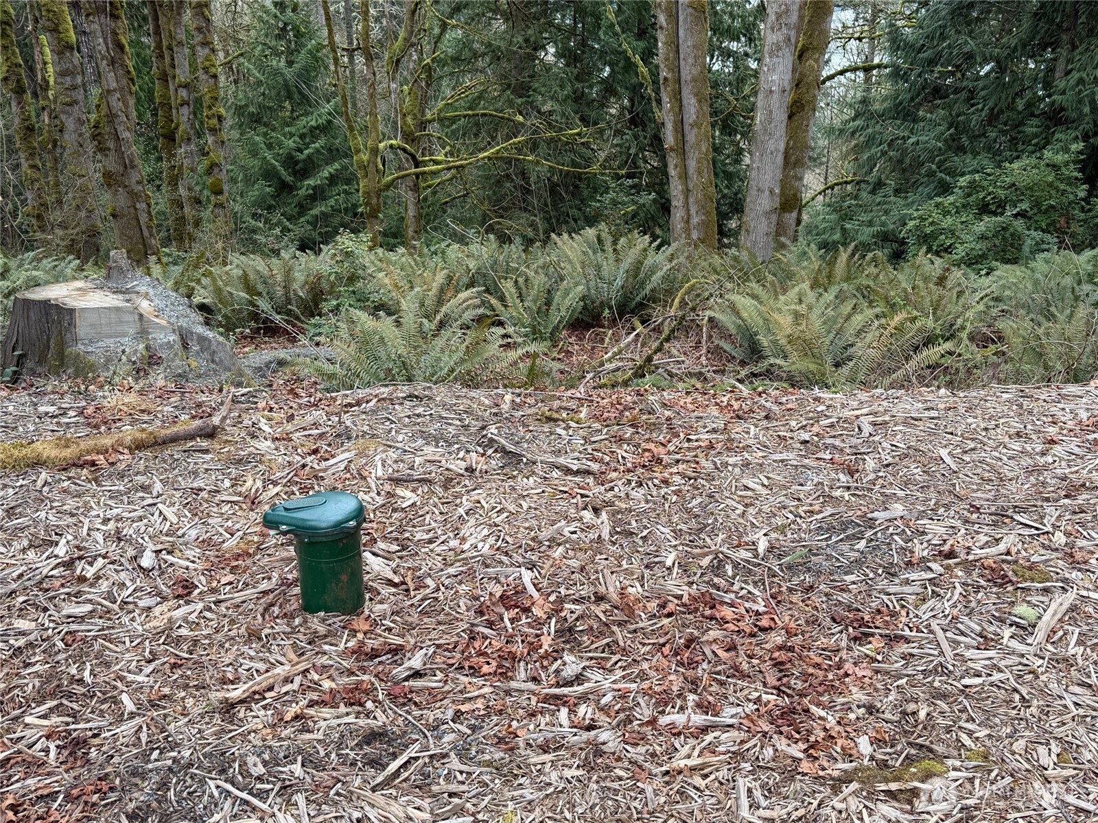 17680 Hallman Road Northwest Poulsbo, WA 98370 - Photo 10 of 27