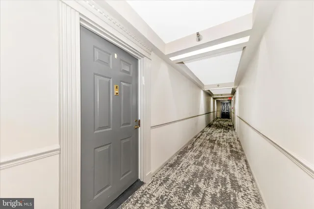 a view of a yard with plants