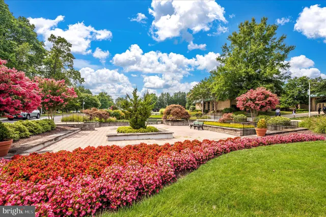 a view of a green field