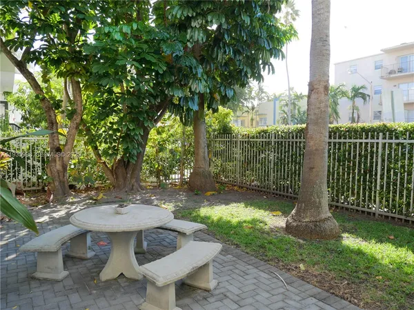 a view of a garden with plants