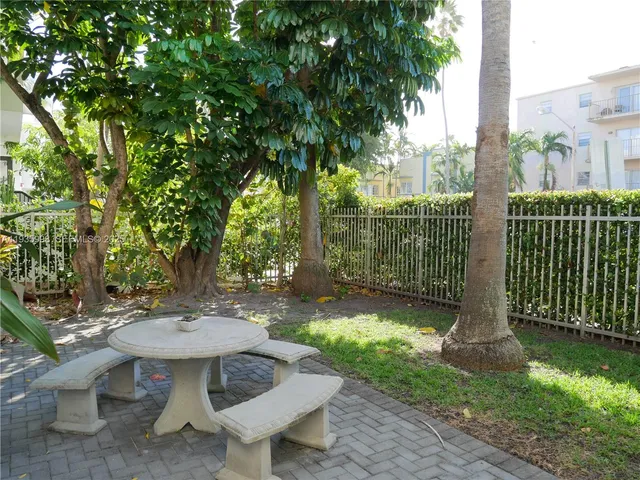 a view of a garden with plants