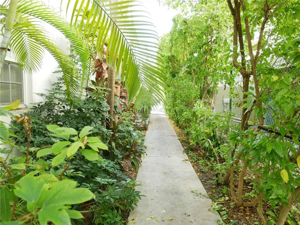 a front view of a house with plants