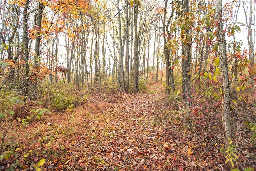 201 Joe Cain Road Bulger, PA 15019 - Photo 48 of 49 a bathroom with a shower curtain