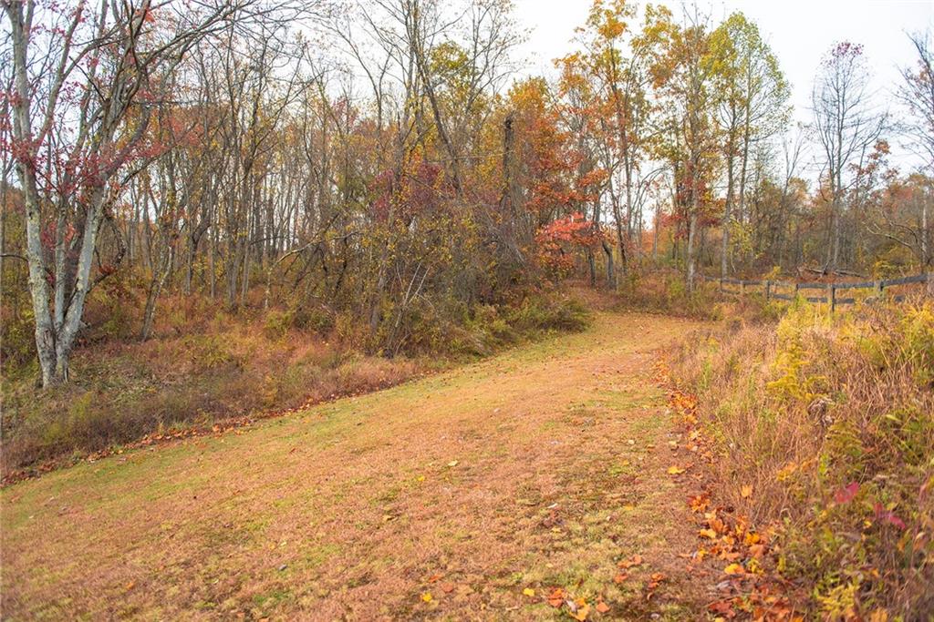201 Joe Cain Road Bulger, PA 15019 - Photo 49 of 49 a view of empty yard with trees