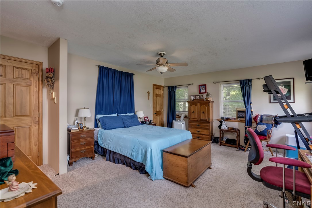 8521 North Shore Road Diana, NY 13648 - Photo 28 of 50