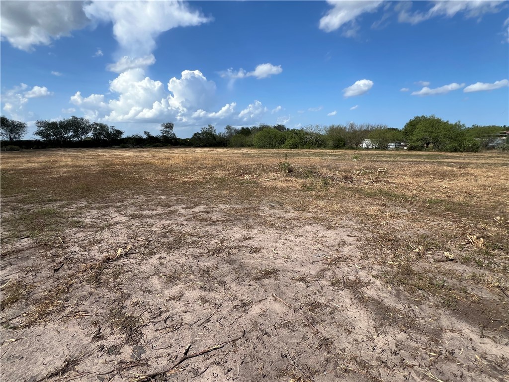 310 Cr Orange Grove, TX 78372 - Photo 25 of 32 a view of outside space yard and lake view