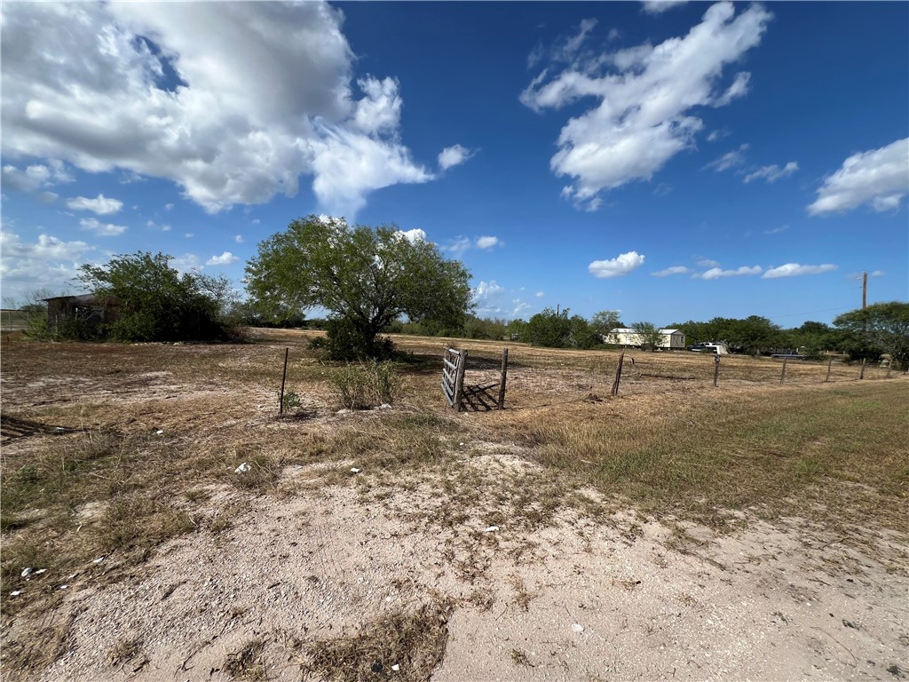 310 Cr Orange Grove, TX 78372 - Photo 27 of 32 a view of a yard with a tree