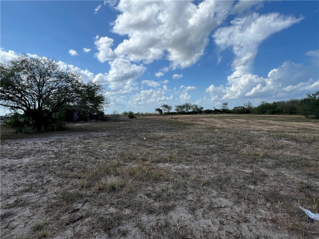310 Cr Orange Grove, TX 78372 - Photo 30 of 32 a view of outside space